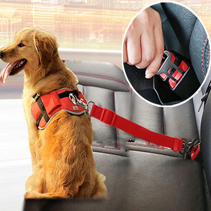 Tavenuri Car Safety Tether